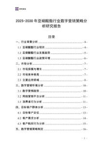 2025-2030年亞硝酸酯行業(yè)數(shù)字營銷策略分析研究報告