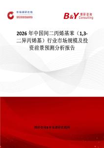 2026年中國間二丙烯基苯（13-二異丙烯基）行業(yè)市場規(guī)模及投資前景預(yù)測分析報告