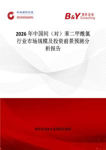 2026年中國間（對）苯二甲酰氯行業(yè)市場規(guī)模及投資前景預(yù)測分析報(bào)告