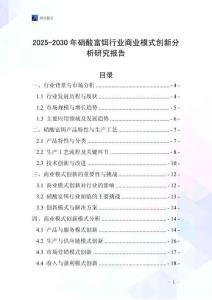 2025-2030年硝酸富鉺行業商業模式創新分析研究報告