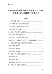 2025-2030年智能偏光應力儀企業制定與實施新質生產力戰略分析研究報告