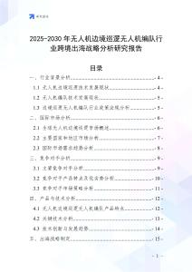 2025-2030年无人机边境巡逻无人机编队行业跨境出海战略分析研究报告