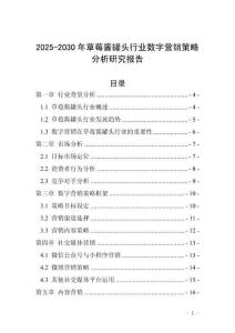 2025-2030年草莓醬罐頭行業(yè)數(shù)字營銷策略分析研究報告