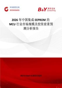 2026年中國集成EEPROM的MCU行業市場規模及投資前景預測分析報告