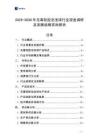 2025-2030年無毒軟膠泡泡球行業深度調研及發展戰略咨詢報告