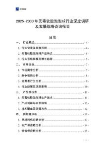 2025-2030年无毒软胶泡泡球行业深度调研及发展战略咨询报告