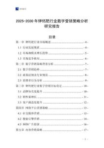 2025-2030年鉀鈣肥行業(yè)數(shù)字營銷策略分析研究報告