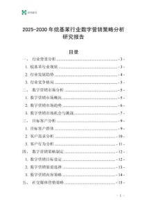 2025-2030年烷基苯行業數字營銷策略分析研究報告