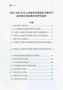 2025-2030年無人機城市環境監測與維護行業跨境出海戰略分析研究報告