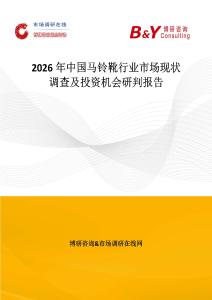2026年中國馬鈴靴行業市場現狀調查及投資機會研判報告