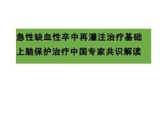 急性缺血性卒中再灌注治療基礎(chǔ)上腦保護(hù)治療中國專家共識(shí)解讀