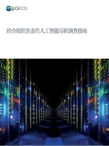 2026負責任人工智能盡職調查指南（中文）