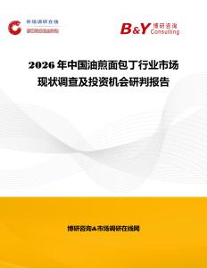 2026年中國油煎面包丁行業(yè)市場現(xiàn)狀調(diào)查及投資機會研判報告
