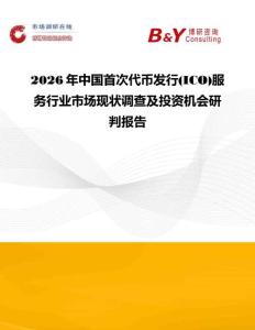 2026年中国首次代币发行(ICO)服务行业市场现状调查及投资机会研判报告