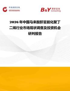 2026年中國馬來酸酐官能化聚丁二烯行業(yè)市場現(xiàn)狀調(diào)查及投資機會研判報告