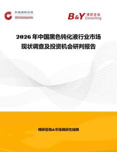 2026年中國黑色鈍化液行業(yè)市場現(xiàn)狀調(diào)查及投資機會研判報告