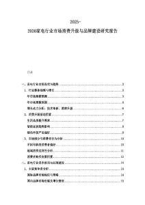 2025-2030家電行業市場消費升級與品牌建設研究報告