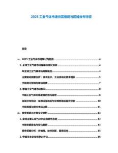 2025工業(yè)氣體市場供需格局與區(qū)域分布特征