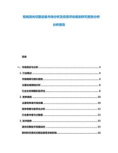 短線激光切割設(shè)備市場分析及投資評估規(guī)劃研究報告分析分析報告
