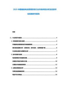 2025中國儲能電池管理系統(tǒng)行業(yè)市場供需分析及投資評估發(fā)展研究報告