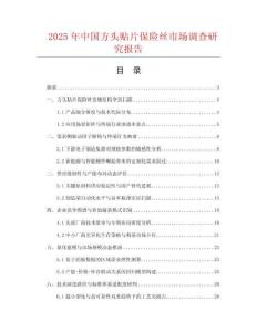 2025年中国方头贴片保险丝市场调查研究报告
