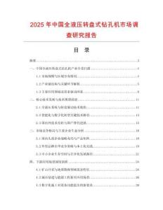 2025年中國全液壓轉盤式鉆孔機市場調查研究報告