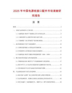 2025年中國電源線接口配件市場調查研究報告