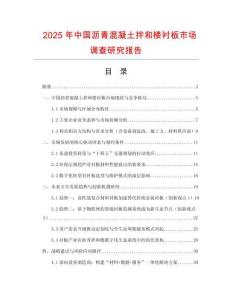 2025年中國瀝青混凝土拌和樓襯板市場調查研究報告