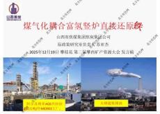2025第二屆攀西礦產資源大會：煤氣化耦合富氫豎爐直接還原鐵