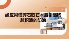 經皮腎鏡碎石取石術