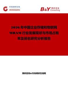 2026年中國企業存儲和物聯網MRAM行業發展現狀與市場占有率及排名研究分析報告