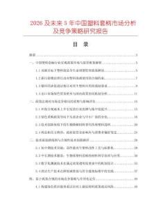 2026及未來5年中國塑料套柄市場分析及競爭策略研究報告