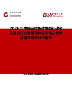 2026年中國三維積體電路和矽通孔互聯(lián)行業(yè)發(fā)展現(xiàn)狀與市場占有率及排名研究分析報(bào)告