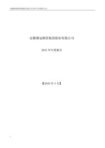 铜冠铜箔：2025年年度报告