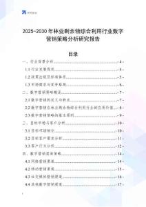 2025-2030年林業剩余物綜合利用行業數字營銷策略分析研究報告