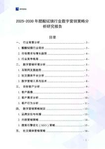 2025-2030年醋酸鋱鏑行業數字營銷策略分析研究報告