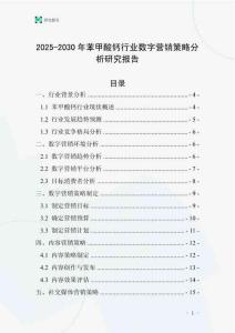 2025-2030年苯甲酸鈣行業(yè)數(shù)字營銷策略分析研究報告