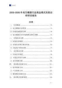 2025-2030年電引爆器行業(yè)商業(yè)模式創(chuàng)新分析研究報(bào)告