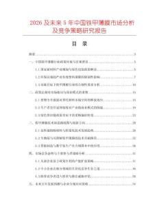 2026及未來5年中國鐵甲薄膜市場分析及競爭策略研究報告