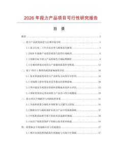 2026年段力產(chǎn)品項(xiàng)目可行性研究報(bào)告