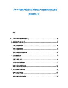 2025中国噪声检测行业市场现状产业发展投资评估创新规划研究计划
