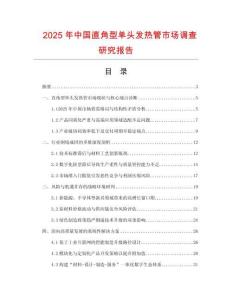 2025年中國直角型單頭發(fā)熱管市場調查研究報告