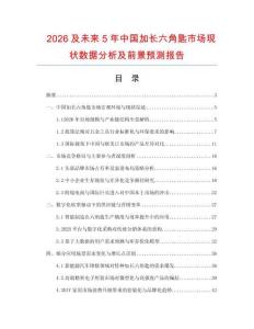 2026及未來5年中國加長六角匙市場現狀數據分析及前景預測報告