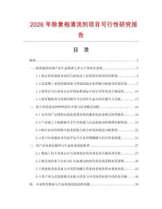 2026年除黄袍清洗剂项目可行性研究报告