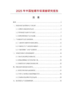 2025年中國短裙市場調查研究報告