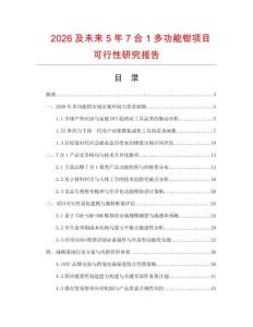 2026及未來5年7合1多功能鉗項目可行性研究報告