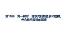 2027屆高三生物一輪復習課件：第3單元　第10講　第一課時　捕獲光能的色素和結構、光合作用原理的探索
