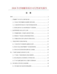 2026年浮閥螺母項目可行性研究報告