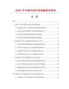 2025年中國手拍市場調查研究報告