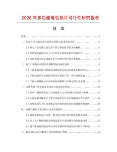 2026年多功能电钻项目可行性研究报告
